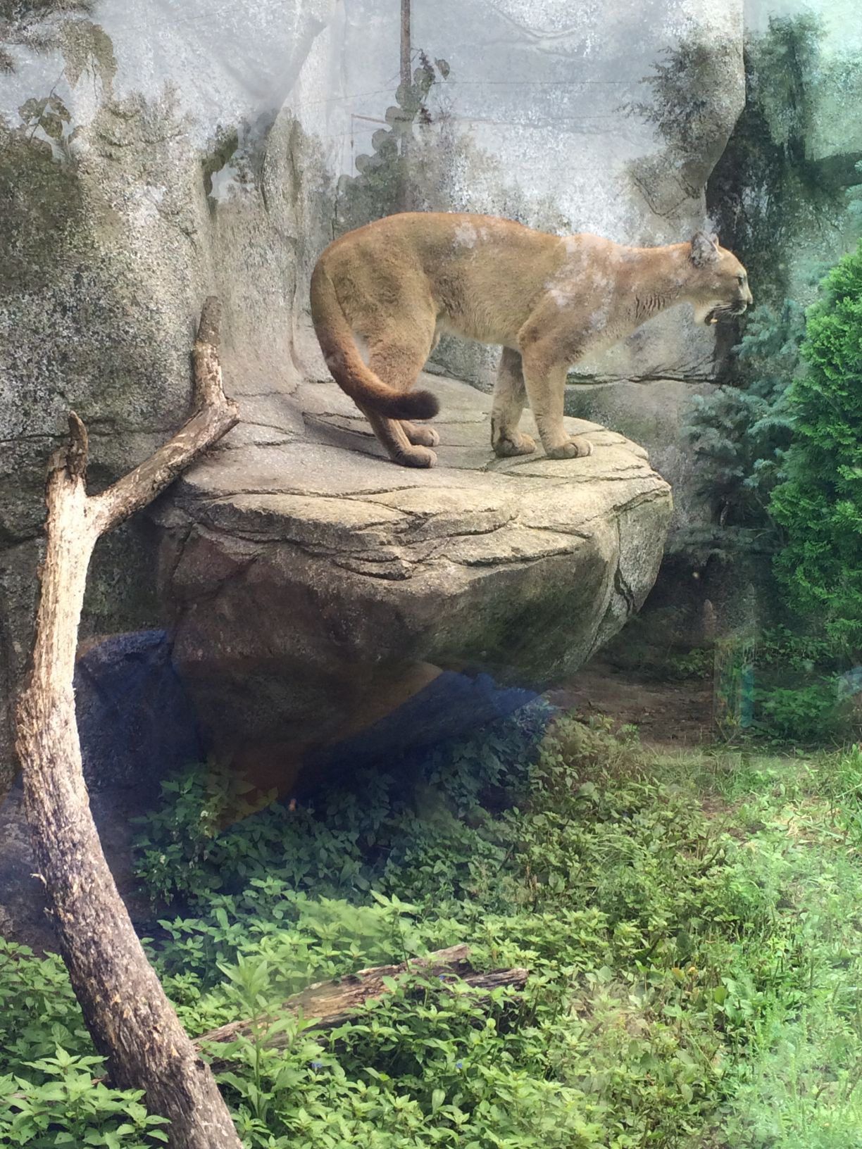 Washington Park Zoo